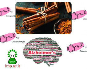 دارچین با نام علمی Cinnamomum verum درختچه‌ای است کوچک، همیشه‌سبز، به ارتفاع ۵ تا ۷ متر که از تمام قسمت‌های آن بویی مطبوع استشمام می‌شود و گل‌های آن در فاصله ماه‌های بهمن تا اوایل فروردین ظاهر می‌شود.